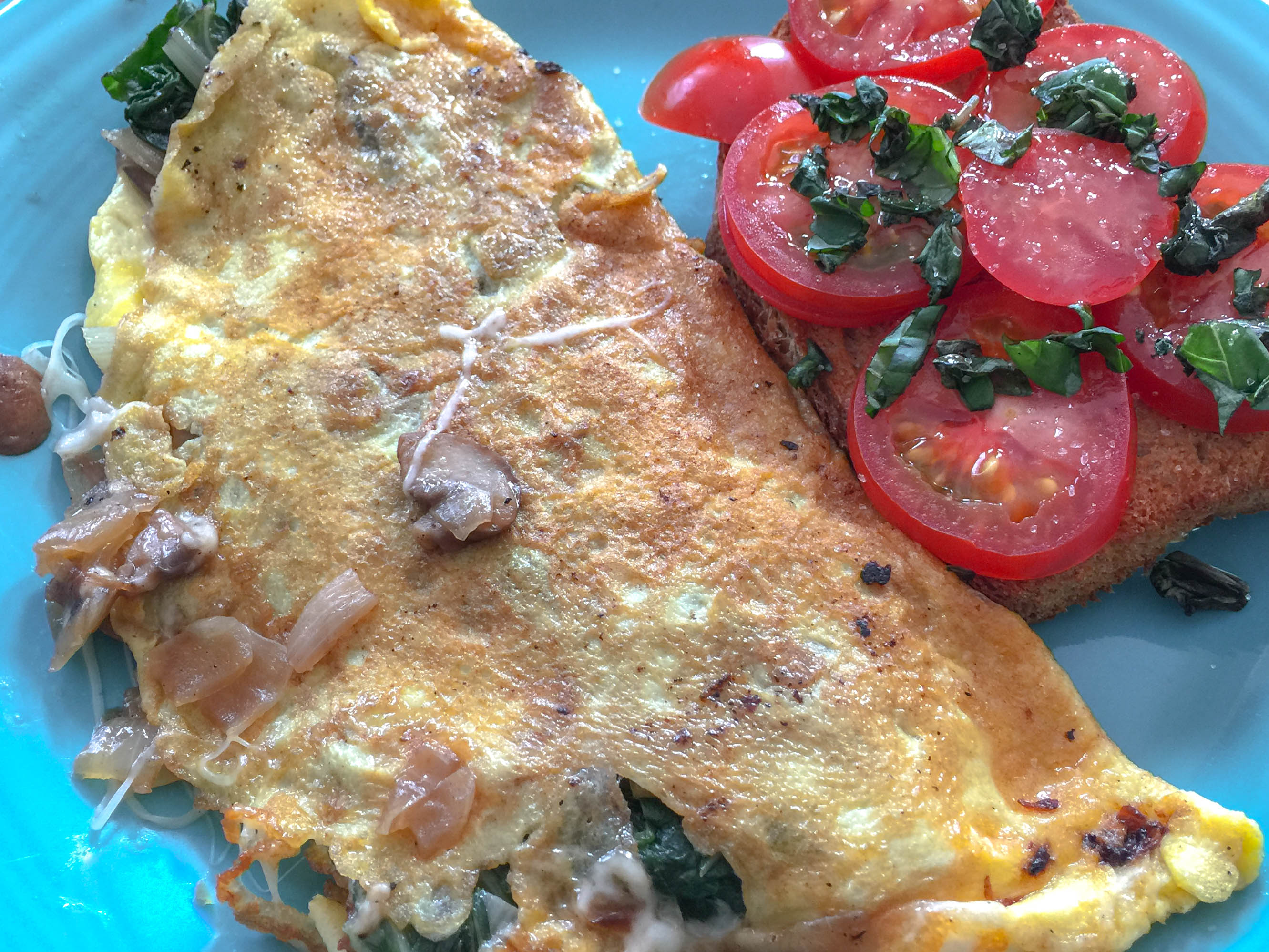 Perfect One Egg Omelet http://www.thescratchartist.com/