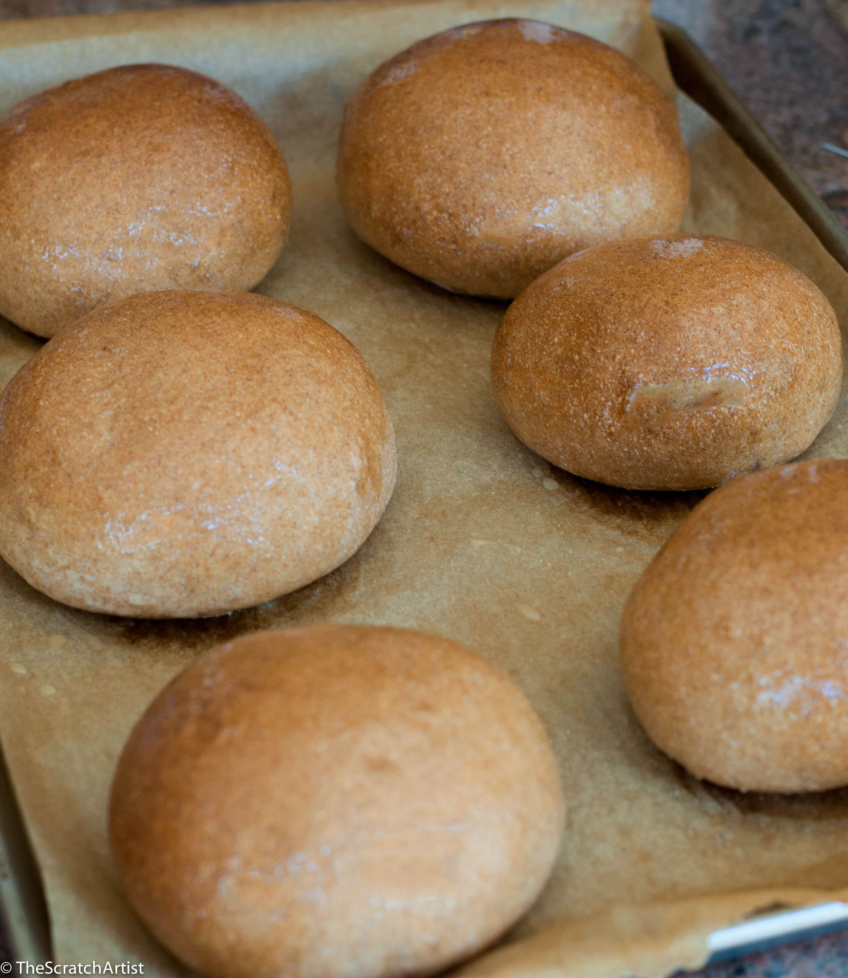 Homemade Sprouted Whole Grain Burger Buns - The Scratch Artist