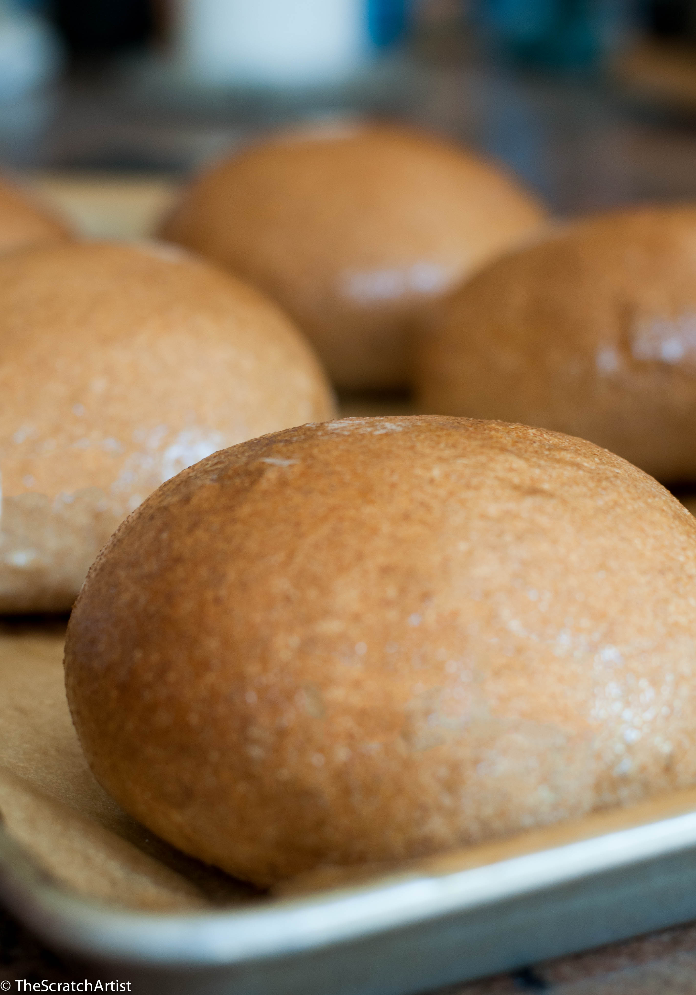 Homemade Sprouted Whole Grain Burger Buns - The Scratch Artist