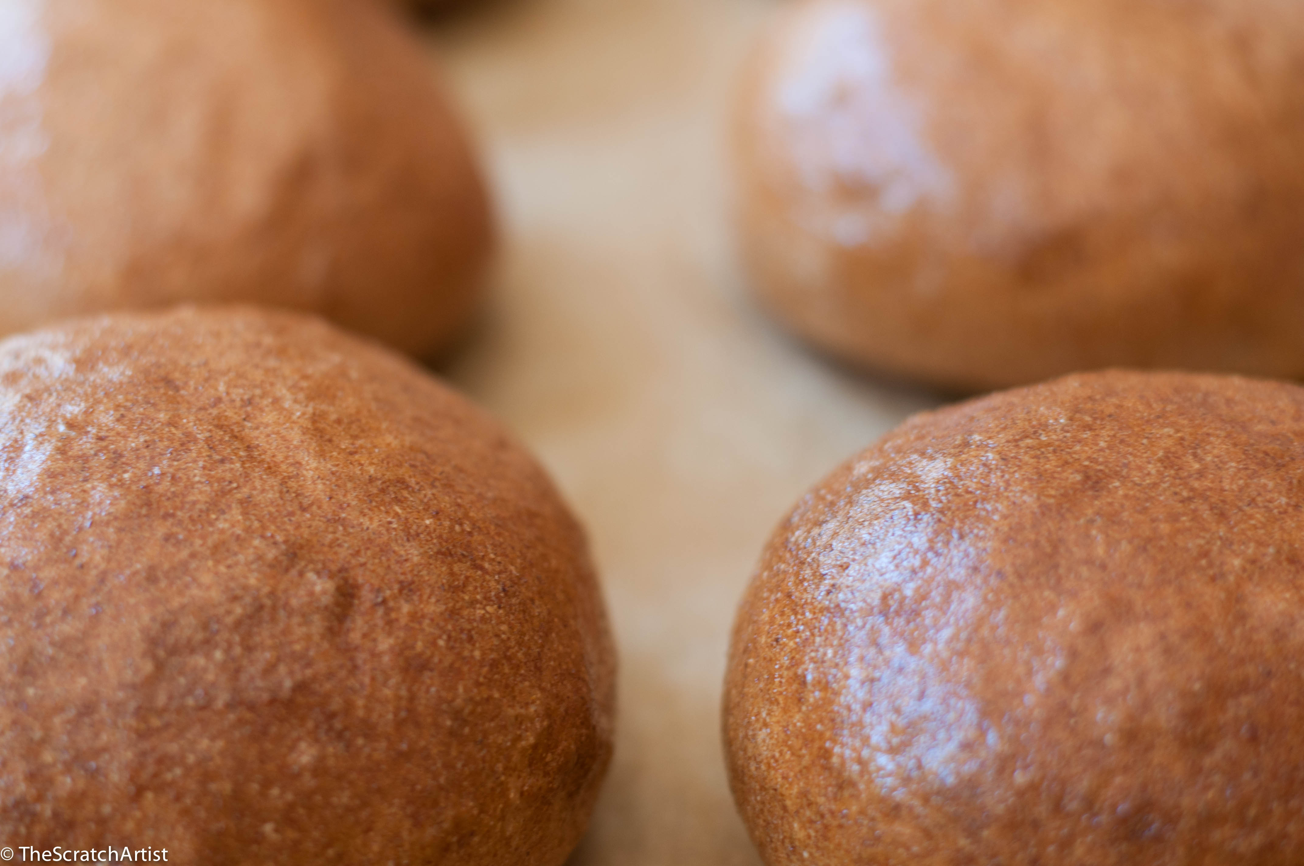 Homemade Sprouted Whole Grain Burger Buns - The Scratch Artist