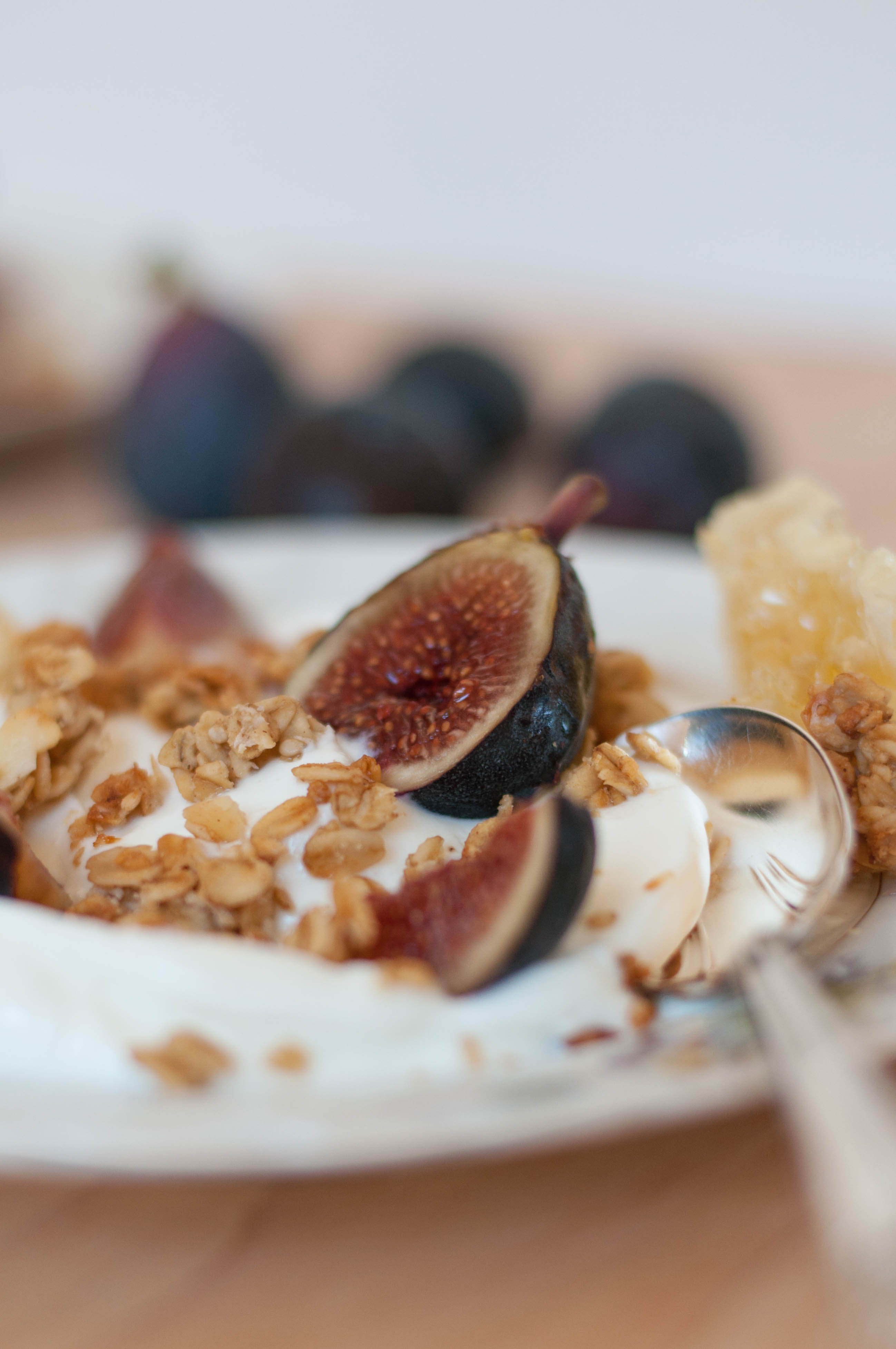 Tahini & Honey Granola with Fresh Fig Greek Yogurt - The Scratch Artist