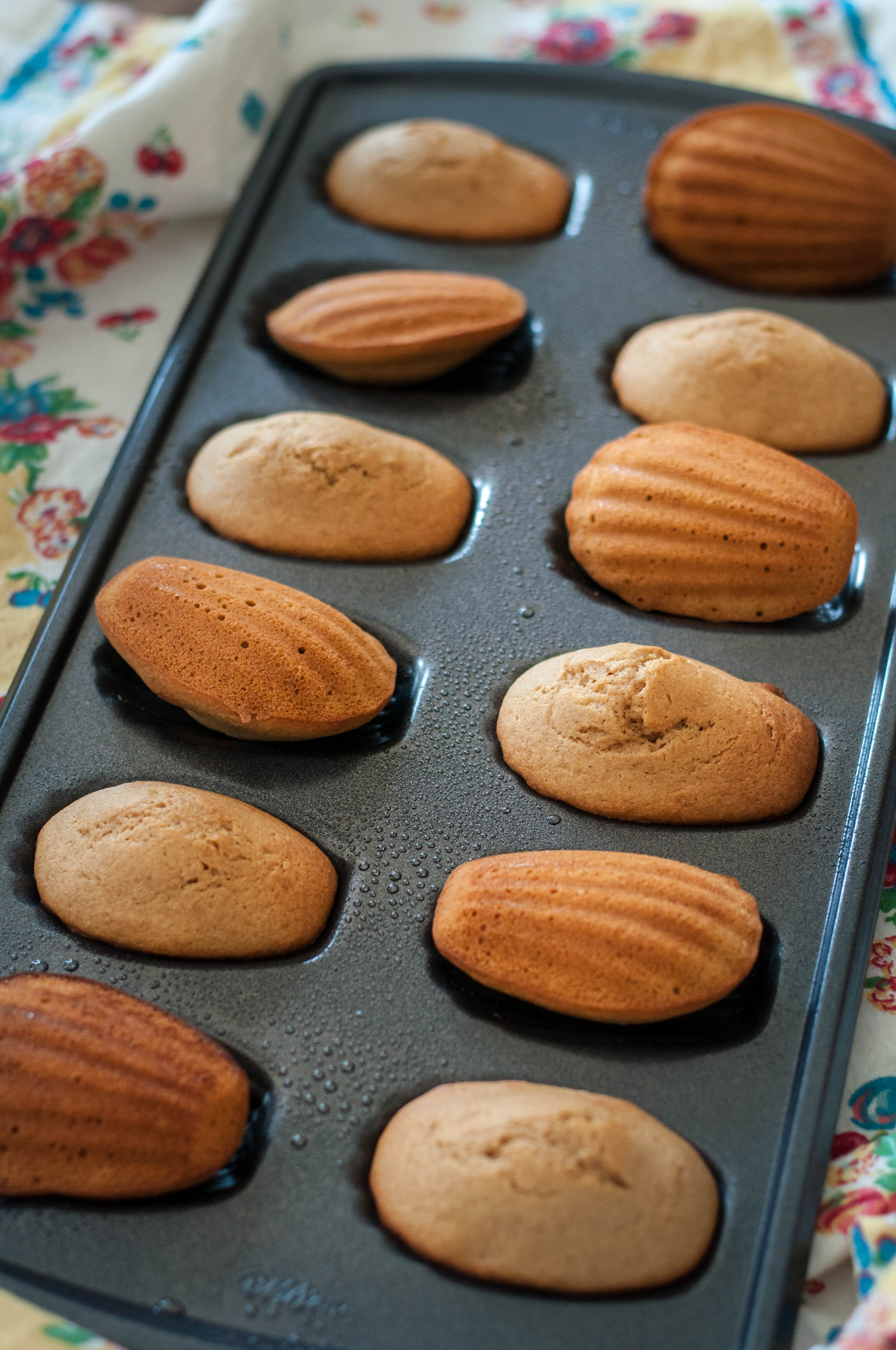 Amarula Cream Madeleines Gluten Free- The Scratch Artist-11