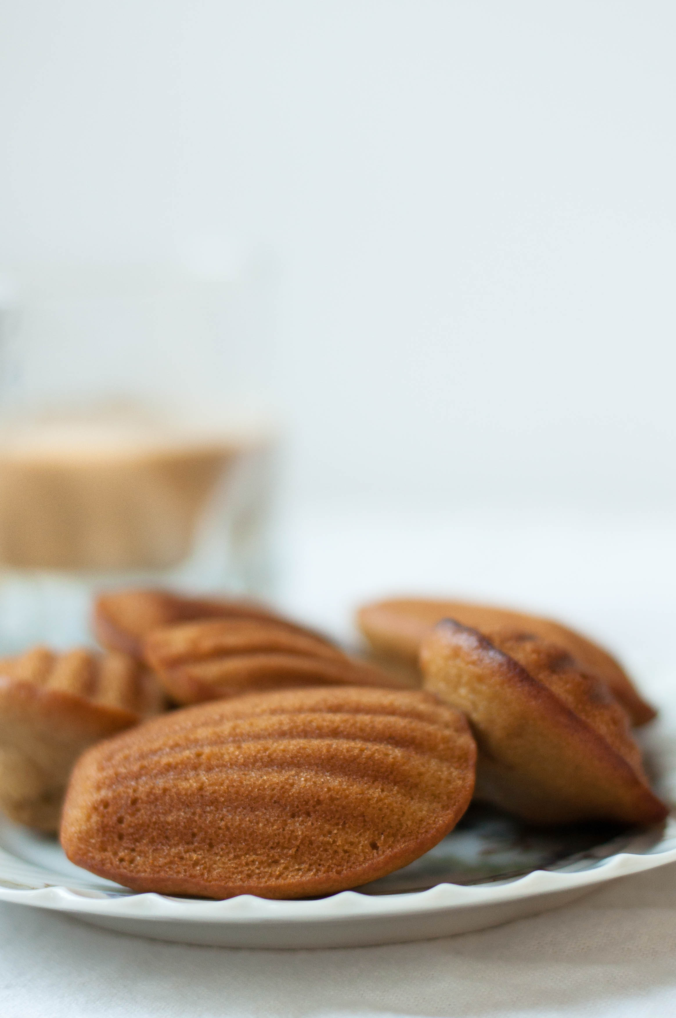 Amarula Cream Madeleines Gluten Free- The Scratch Artist-13