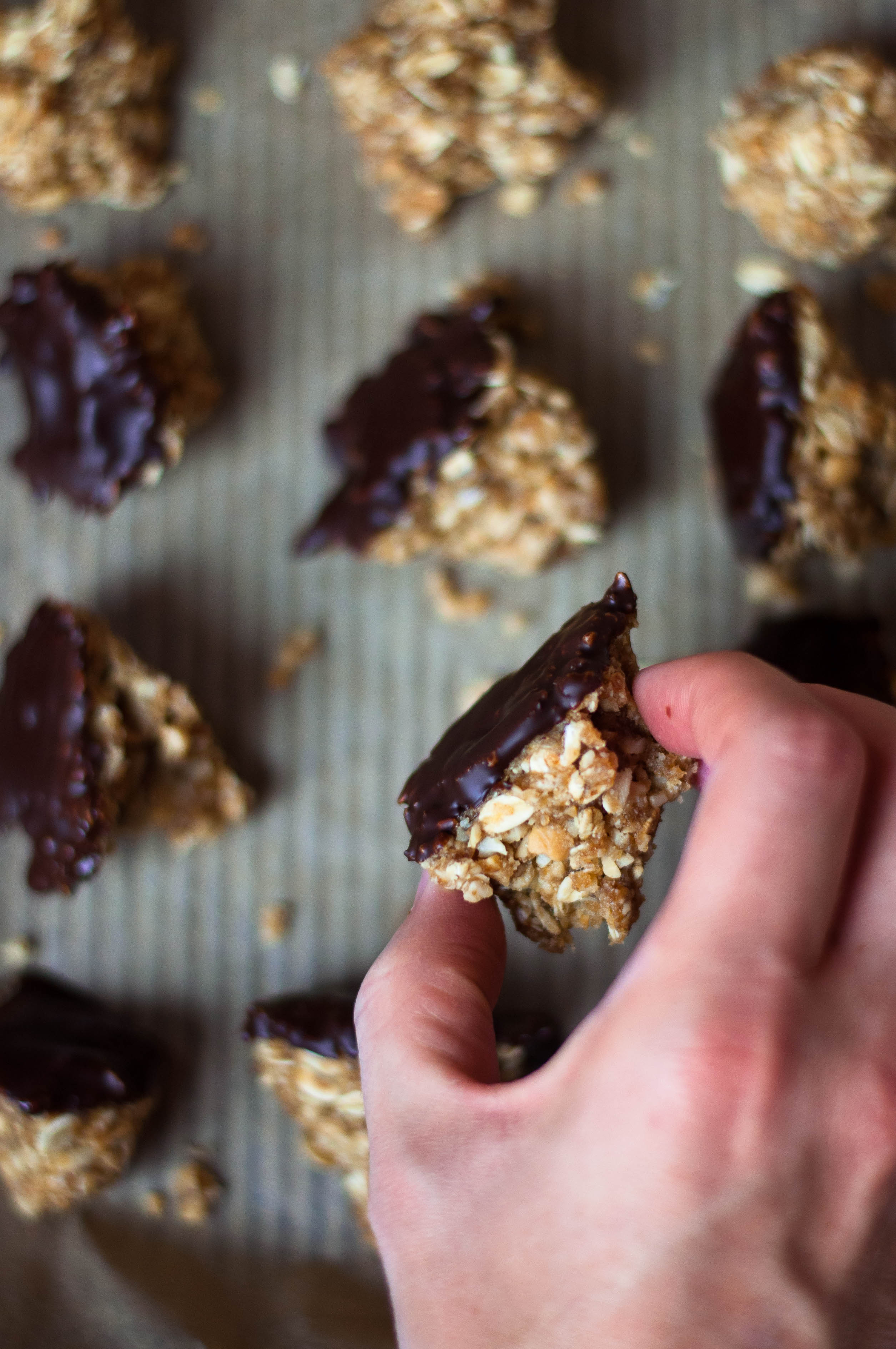 Homemade Peanut Butter & Honey Granola Bar Bites - The Scratch Artist