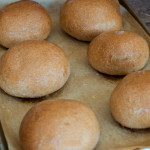 Homemade Sprouted Whole Grain Burger Buns - The Scratch Artist